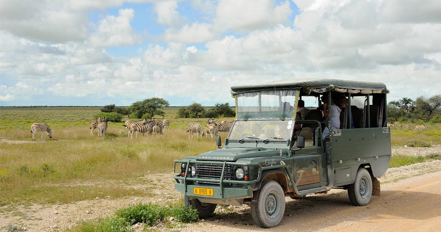 game drive safari in Chobe National Park