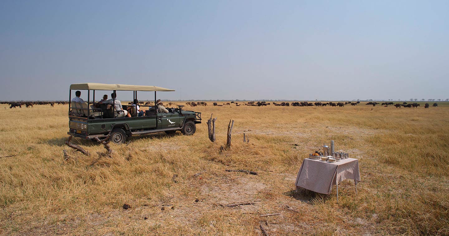 Safari game drive at Savute Under Canvas in Chobe National Park