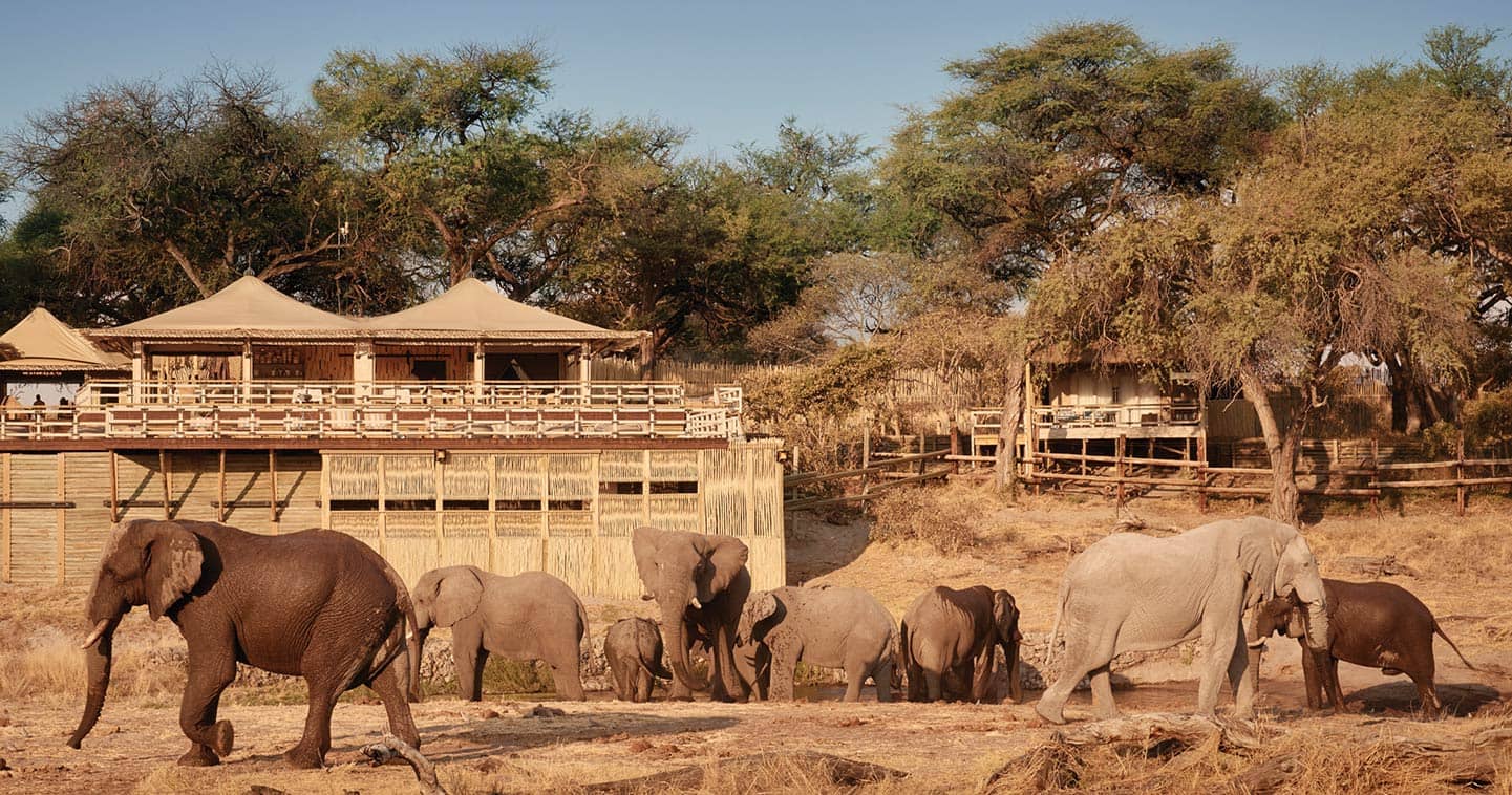 Elephant safari in Chobe National Park - Belmond Savute