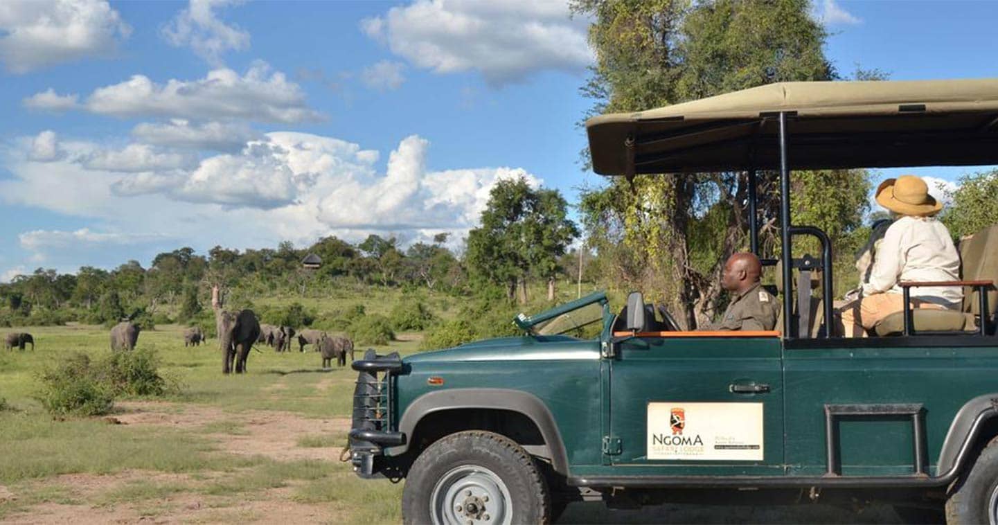 See Wildlife up Close on a Game Drive During your Stay at Ngoma Safari Lodge