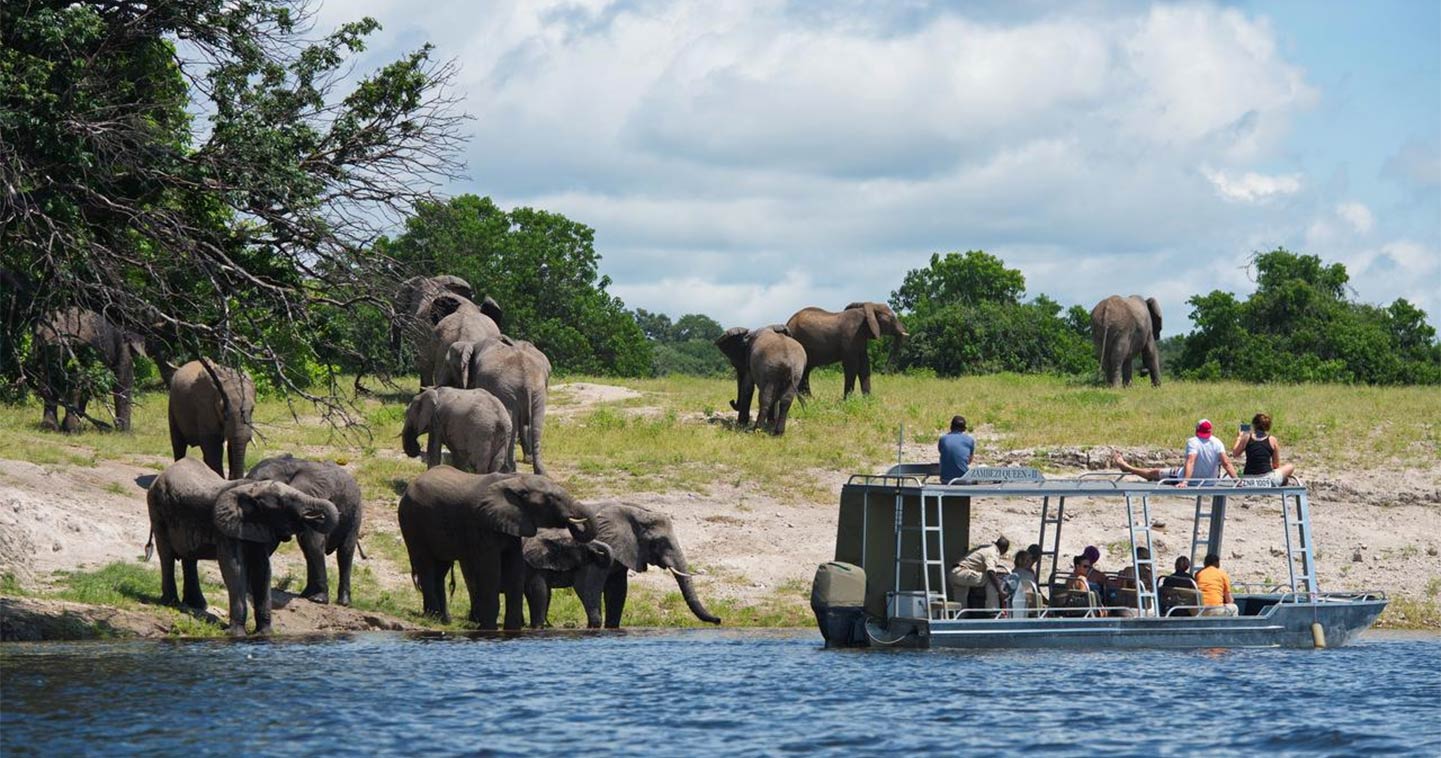 River safari Chobe Zambezi Queen