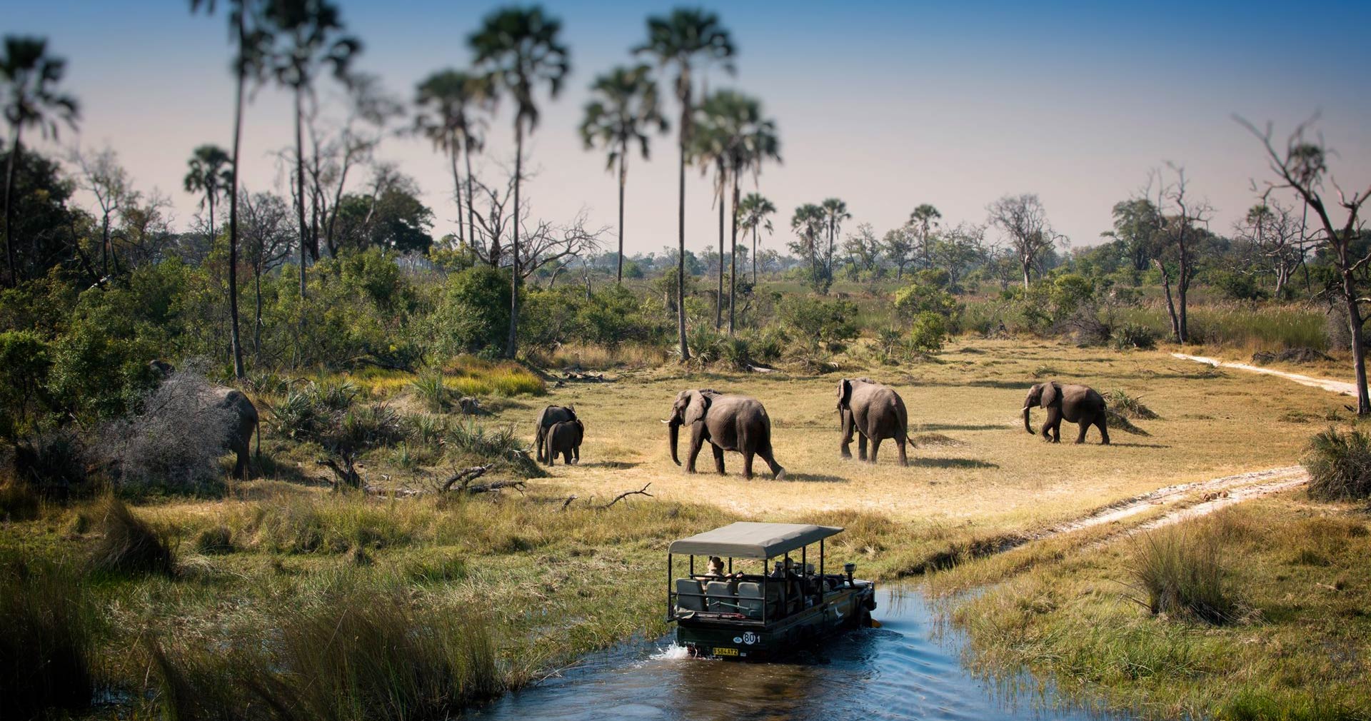 Chobe National Park - For an authentic luxury safari Botswana