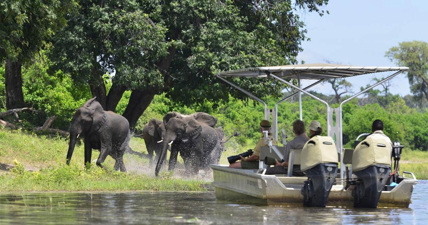 Botswana river cruise: Chobe Princess