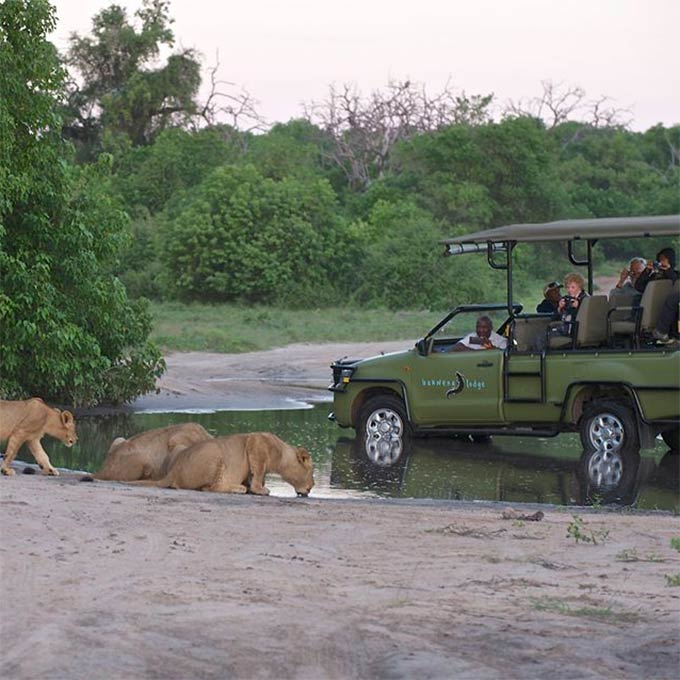 View Savute Safari Lodge information, Chobe National Park in Botswana