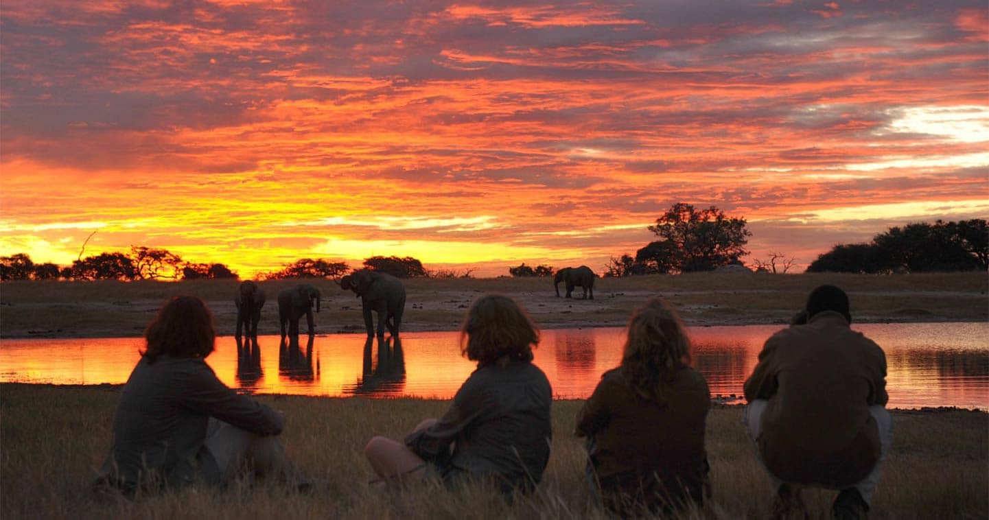 Enjoy the Sunset during a Game Walk in Chobe National Park