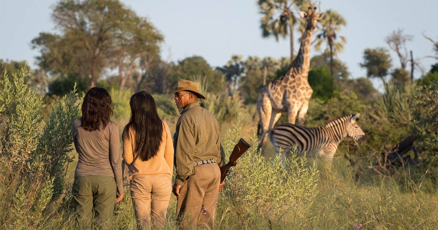 Enjoy the Sunset during a Game Walk in Chobe National Park