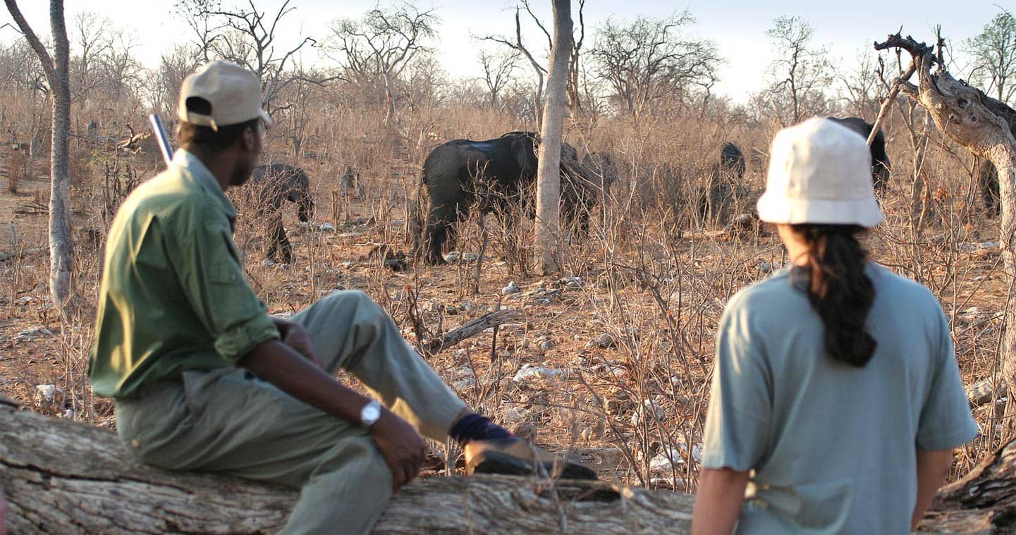 Enjoy a Walking Safari with Muchenje Safari Lodge in Chobe National Park