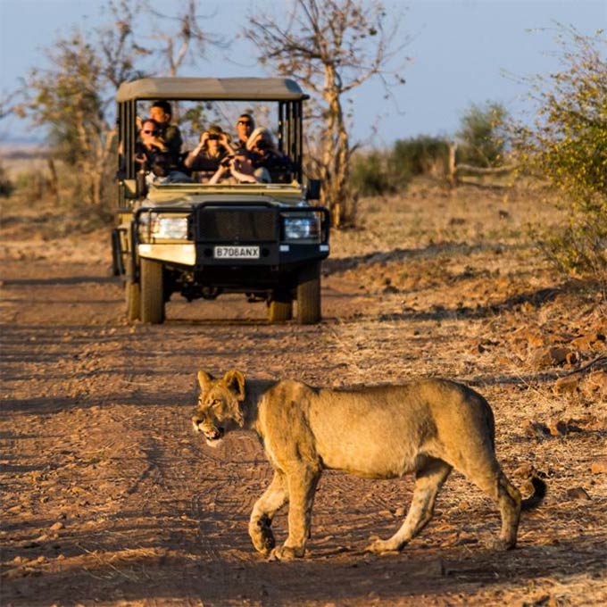 View Muchenje Safari Lodge in Chobe National Park