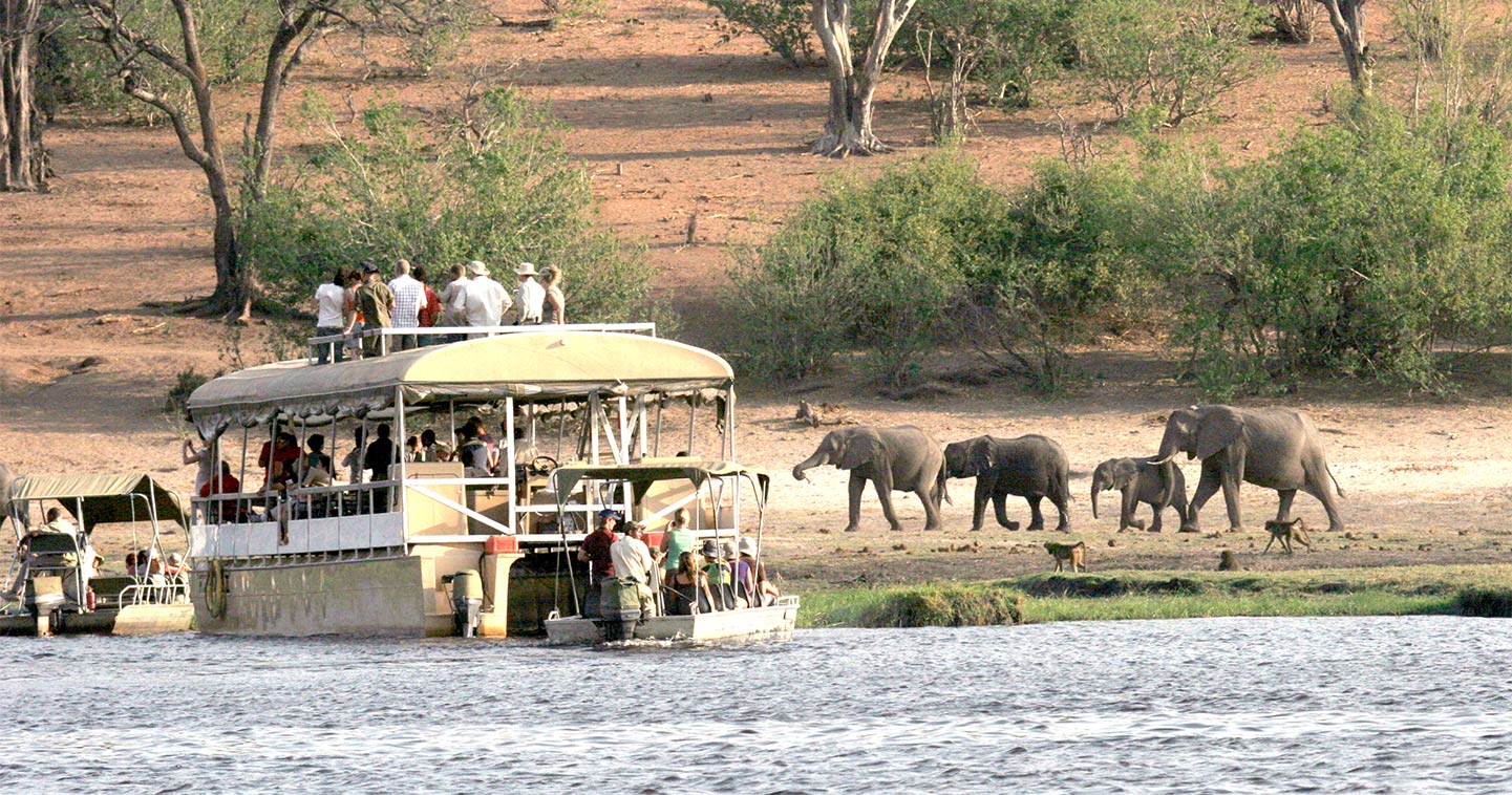 River cruise Chobe at Safari Lodge
