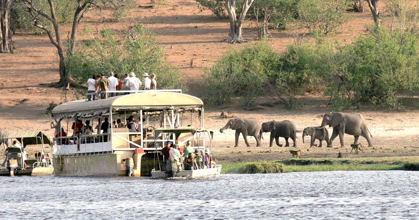 chobe river safari lodge