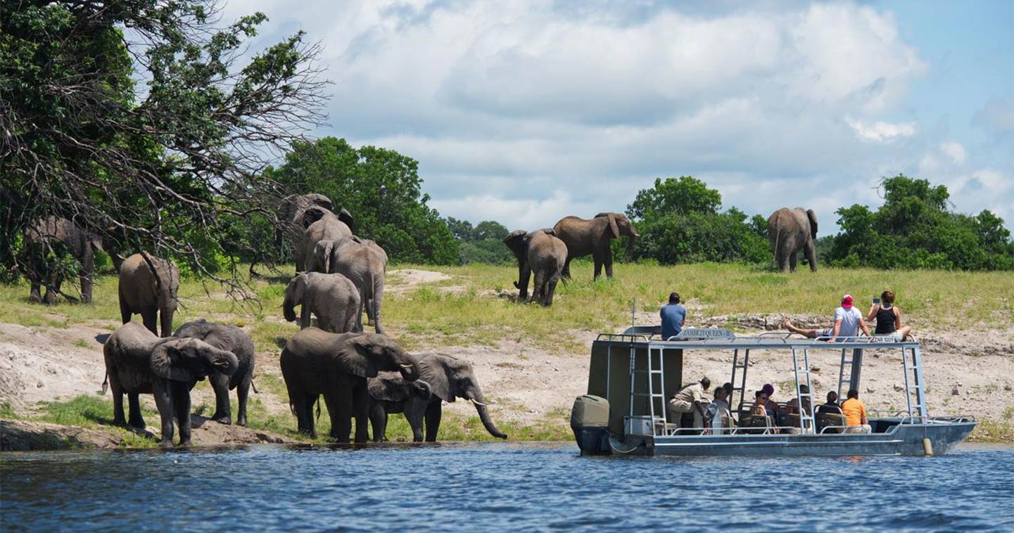 botswana boat safari