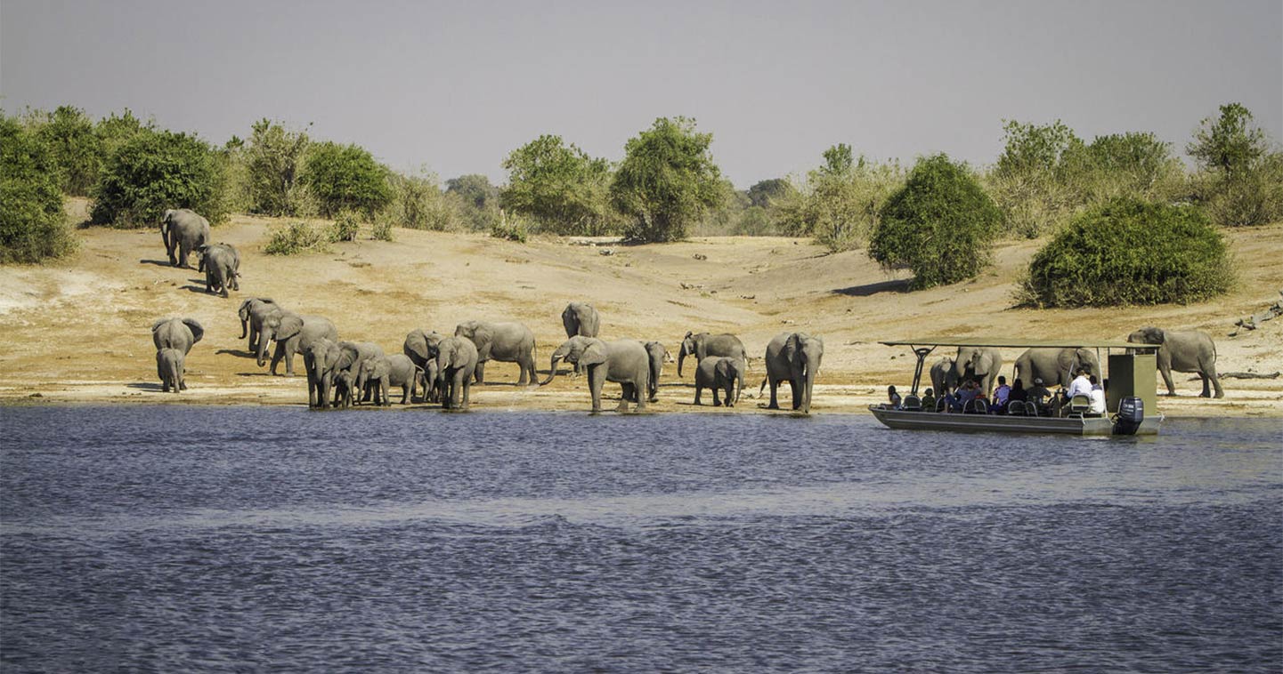 River safari ar Kasane Chobe Bakwena