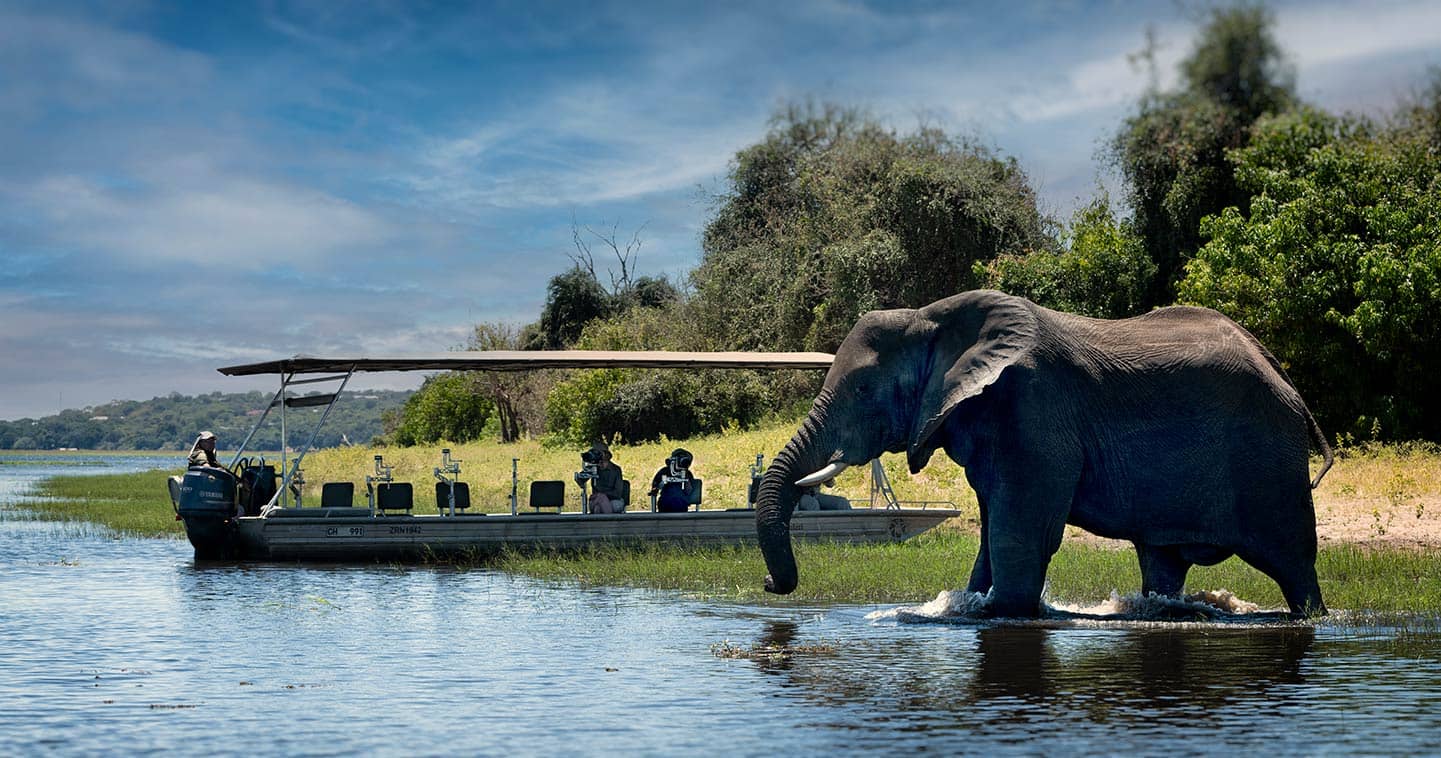 See Wildlife up Close on a Water Safari During your Stay at Chobe Under Canvas