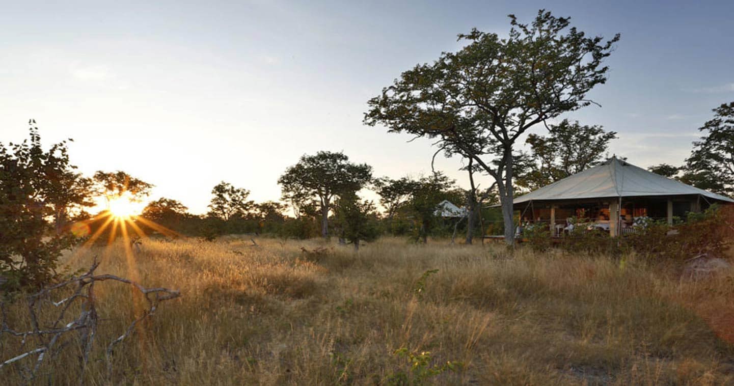 Enjoy the Luxury at Camp Kuzuma in Botswana