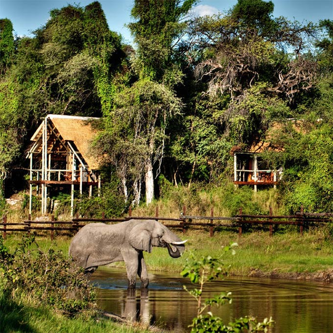 View Savute Safari Lodge information, Chobe National Park in Botswana