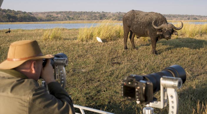 Honeymoon Chobe &Beyond special offer - bride pays 50% less