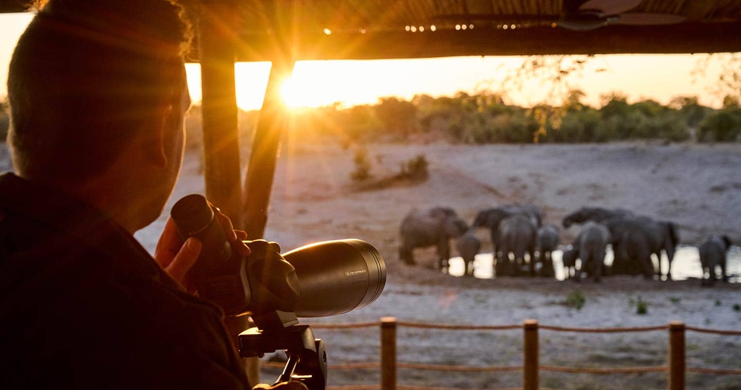 Wildlife at your doorstep at Chobe Savute Safari Lodge